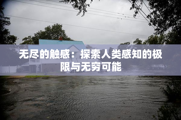 无尽的触感：探索人类感知的极限与无穷可能