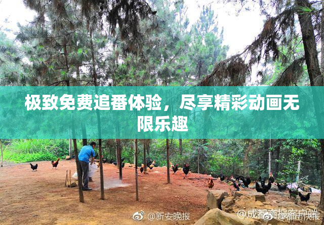 极致免费追番体验，尽享精彩动画无限乐趣