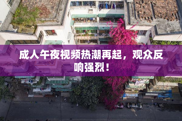 成人午夜视频热潮再起，观众反响强烈！