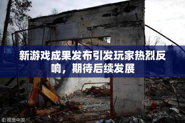 新游戏成果发布引发玩家热烈反响，期待后续发展