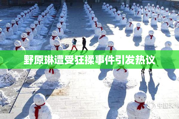 野原琳遭受狂揉事件引发热议