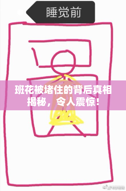 班花被堵住的背后真相揭秘，令人震惊！
