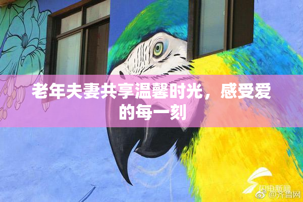 老年夫妻共享温馨时光，感受爱的每一刻