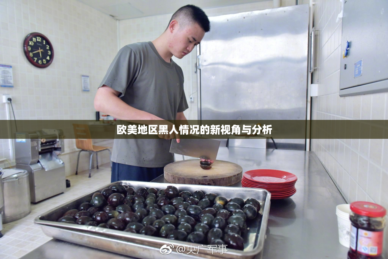 欧美地区黑人情况的新视角与分析