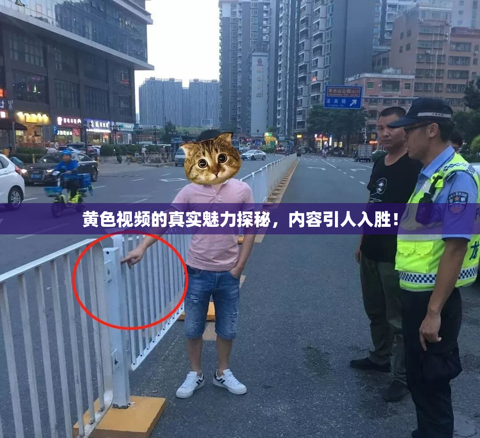 黄色视频的真实魅力探秘，内容引人入胜！