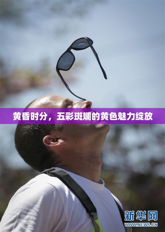 黄昏时分，五彩斑斓的黄色魅力绽放