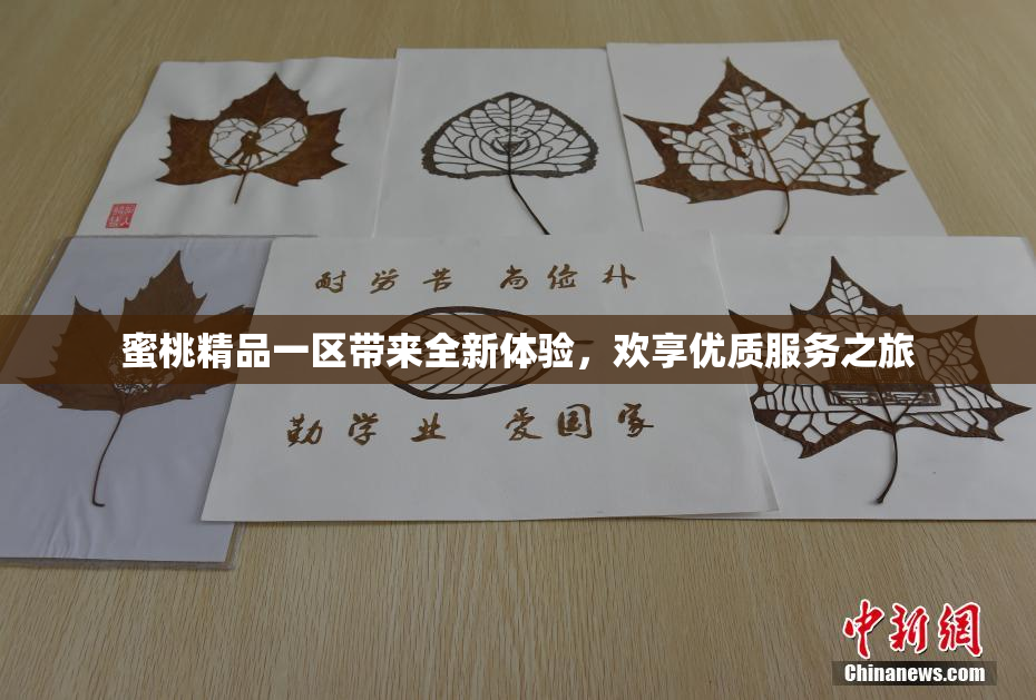 蜜桃精品一区带来全新体验，欢享优质服务之旅