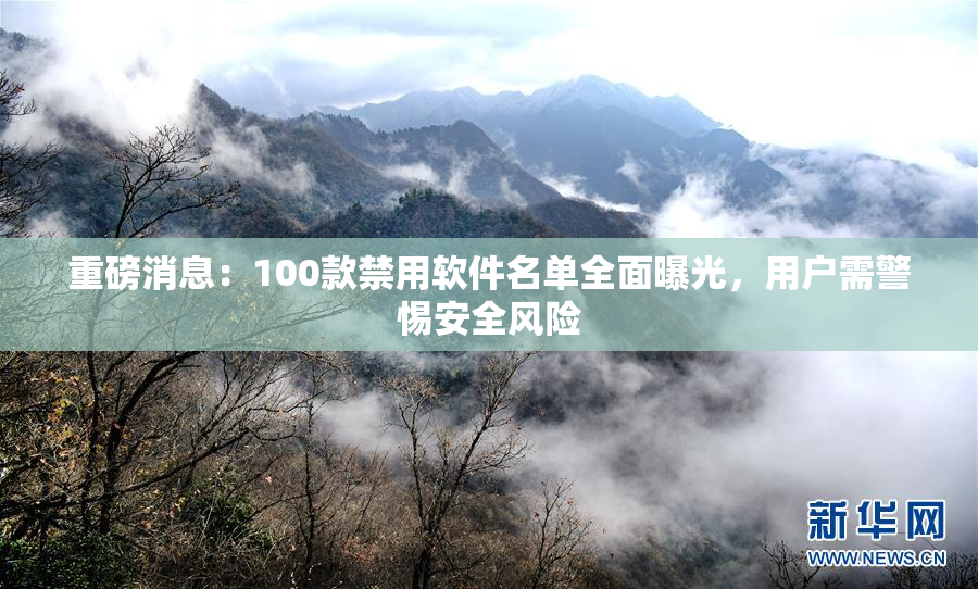 重磅消息：100款禁用软件名单全面曝光，用户需警惕安全风险