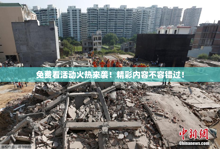 免费看活动火热来袭！精彩内容不容错过！