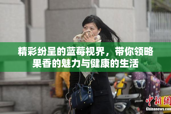 精彩纷呈的蓝莓视界，带你领略果香的魅力与健康的生活