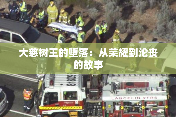 大慈树王的堕落：从荣耀到沦丧的故事