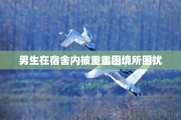 男生在宿舍内被重重困境所困扰