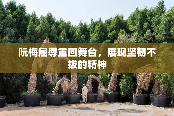 阮梅屈辱重回舞台，展现坚韧不拔的精神