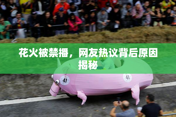 花火被禁播，网友热议背后原因揭秘