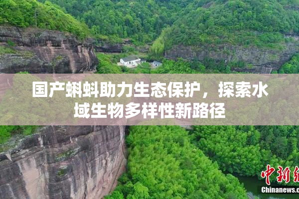 国产蝌蚪助力生态保护，探索水域生物多样性新路径