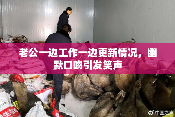 老公一边工作一边更新情况，幽默口吻引发笑声
