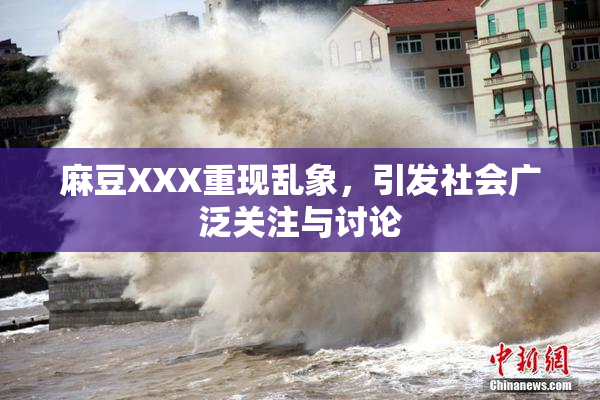 麻豆XXX重现乱象，引发社会广泛关注与讨论