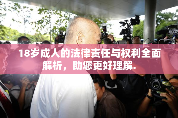 18岁成人的法律责任与权利全面解析，助您更好理解.