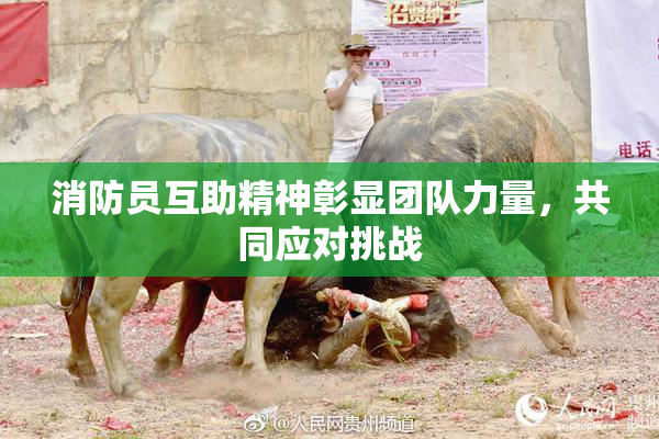 消防员互助精神彰显团队力量，共同应对挑战