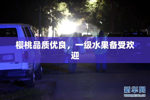樱桃品质优良，一级水果备受欢迎