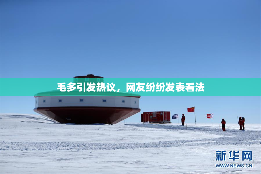 毛多引发热议，网友纷纷发表看法