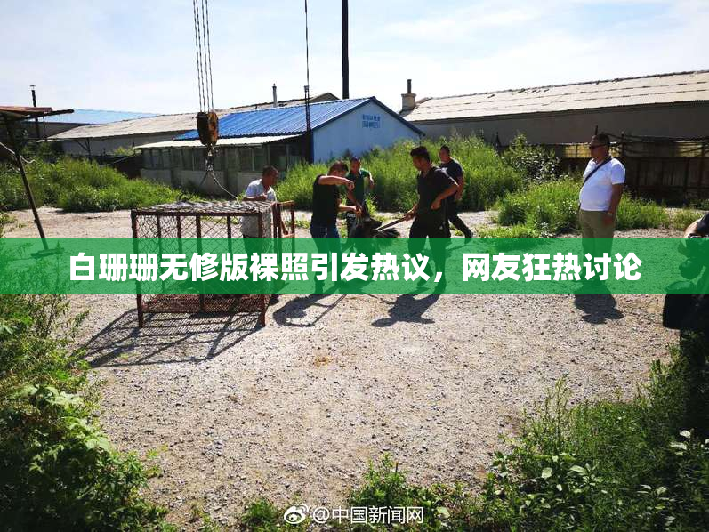 白珊珊无修版裸照引发热议，网友狂热讨论