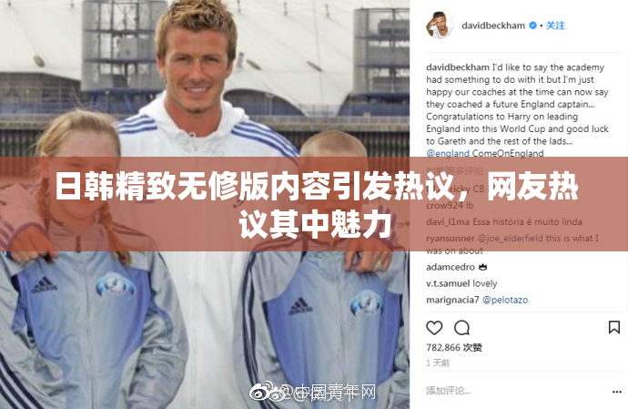 日韩精致无修版内容引发热议，网友热议其中魅力