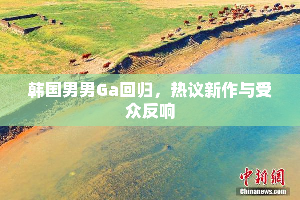 韩国男男Ga回归，热议新作与受众反响