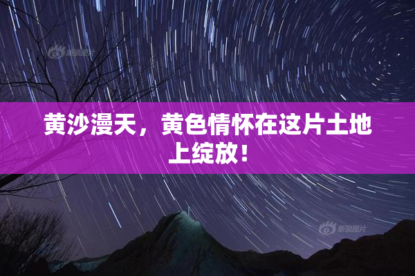 黄沙漫天，黄色情怀在这片土地上绽放！
