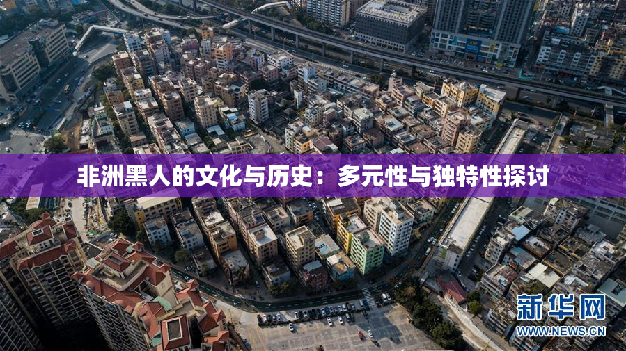 非洲黑人的文化与历史：多元性与独特性探讨