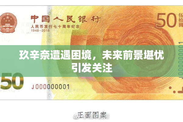 玖辛奈遭遇困境，未来前景堪忧引发关注