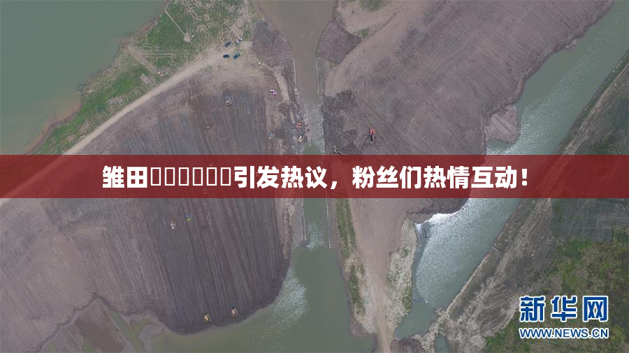 雏田❌‌❌‌❌‌引发热议，粉丝们热情互动！