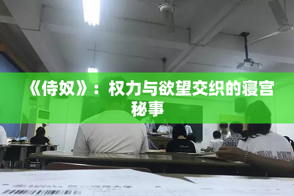 《侍奴》：权力与欲望交织的寝宫秘事