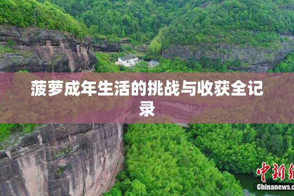 菠萝成年生活的挑战与收获全记录