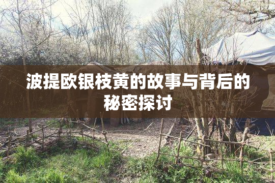 波提欧银枝黄的故事与背后的秘密探讨