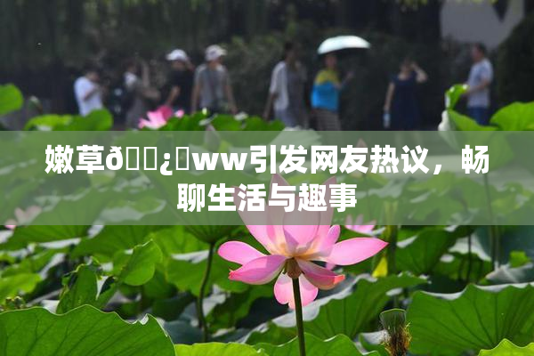 嫩草🌿‌ww引发网友热议，畅聊生活与趣事