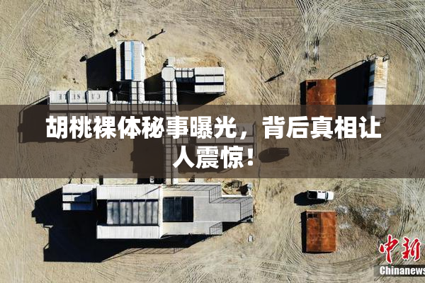 胡桃裸体秘事曝光，背后真相让人震惊！