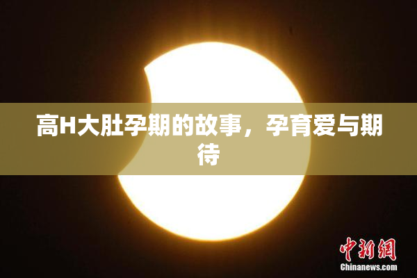 高H大肚孕期的故事，孕育爱与期待