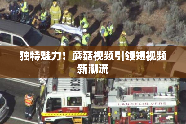 独特魅力！蘑菇视频引领短视频新潮流