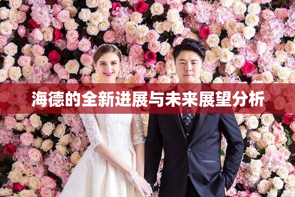 海德的全新进展与未来展望分析