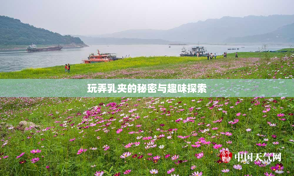 玩弄乳夹的秘密与趣味探索