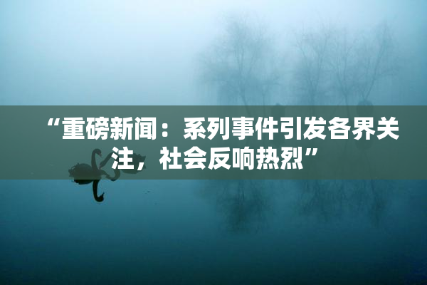 “重磅新闻：系列事件引发各界关注，社会反响热烈”