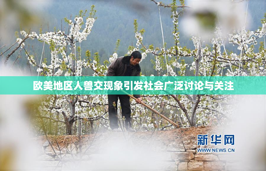 欧美地区人兽交现象引发社会广泛讨论与关注