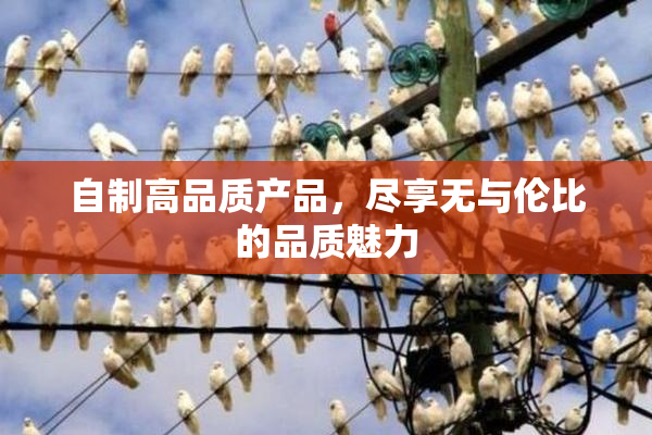 自制高品质产品，尽享无与伦比的品质魅力