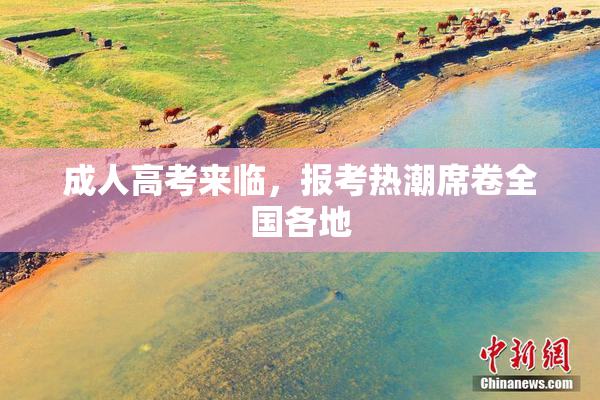 成人高考来临，报考热潮席卷全国各地