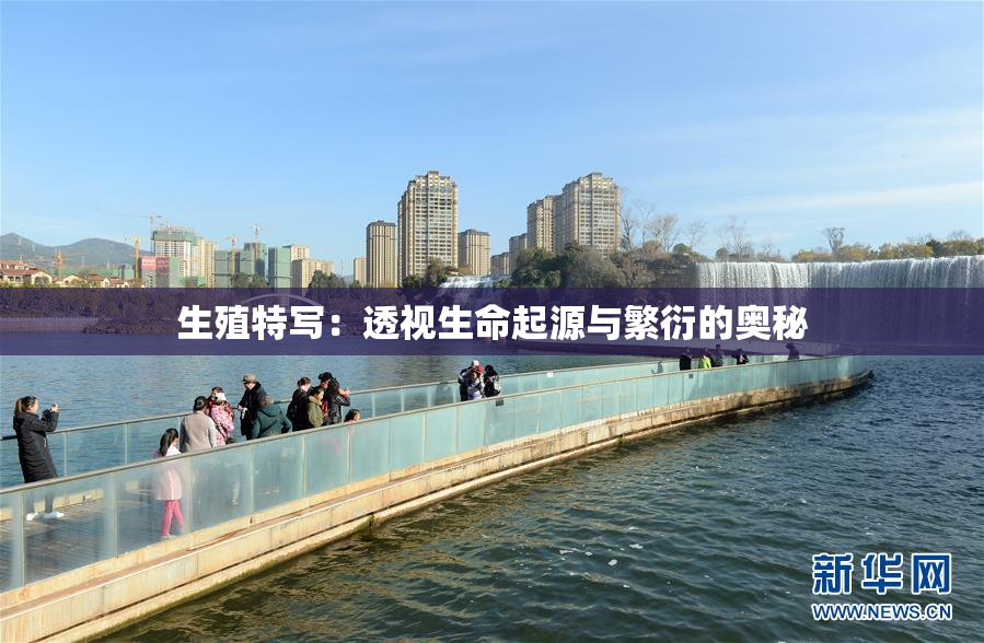 生殖特写：透视生命起源与繁衍的奥秘