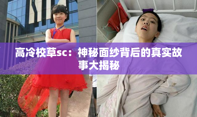 高冷校草sc：神秘面纱背后的真实故事大揭秘