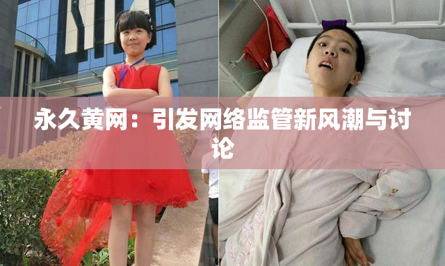永久黄网：引发网络监管新风潮与讨论