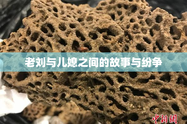 老刘与儿媳之间的故事与纷争