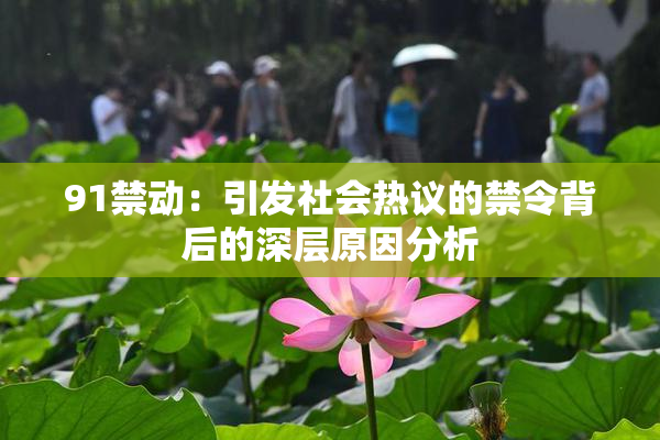 91禁动：引发社会热议的禁令背后的深层原因分析